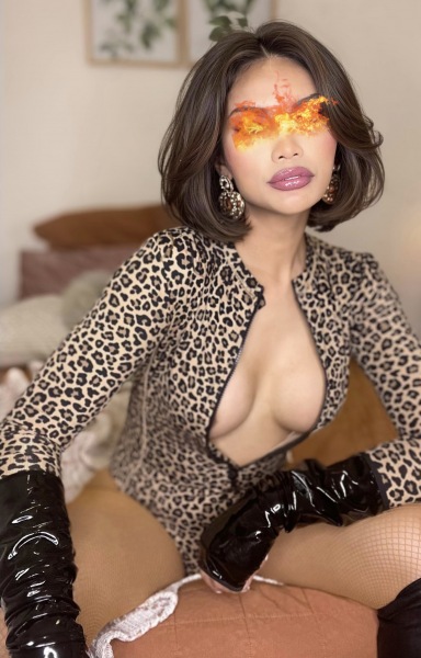 TS Cheterra photo 9